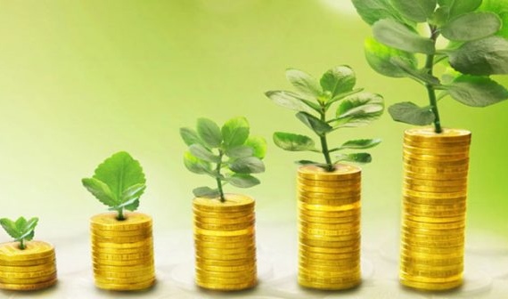 Как создать инвестиционный фонд в офшоре?