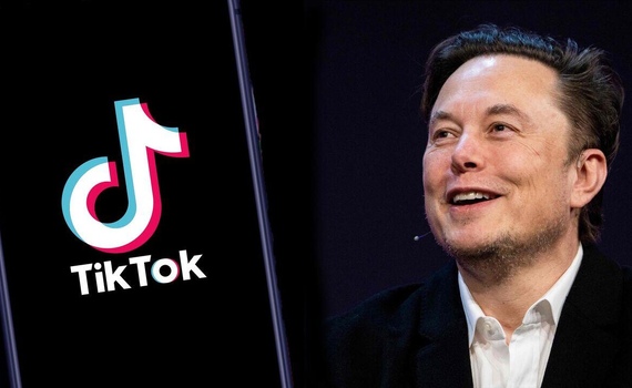 Илон Маск и TikTok: правда ли миллиардер хочет купить соцсеть?