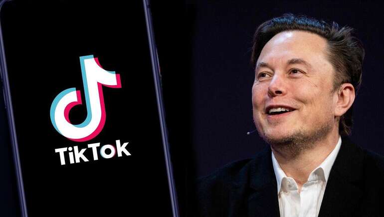 Илон Маск и TikTok: правда ли миллиардер хочет купить соцсеть?