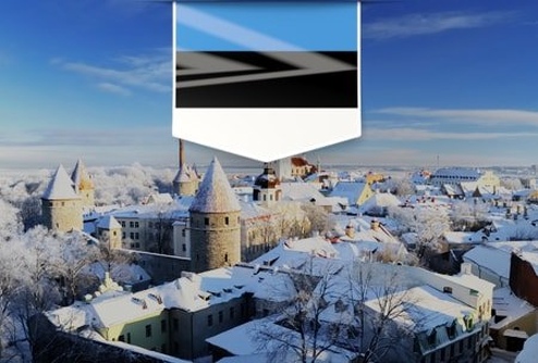 8 головних переваг оформлення фірми в Естонії