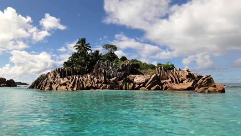 Какая самая популярная организационная форма компаний на Сейшельских островах?