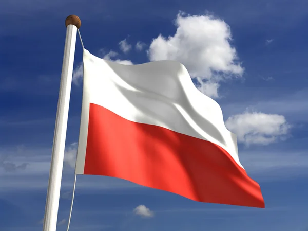Unternehmensregistrierung in Polen