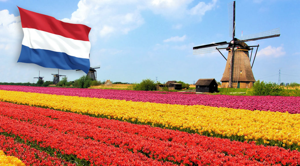 Оффшор Нидерланды