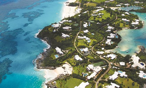 Популярные Бермуды